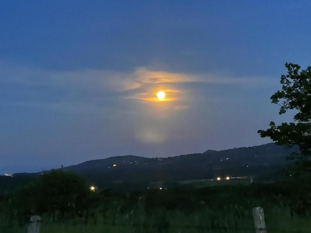 B&B Il Tramonto Barbarano Romano Exterior photo
